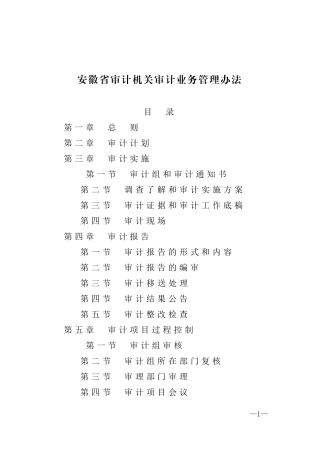 某省审计机关审计业务管理办法(DOC 82页)