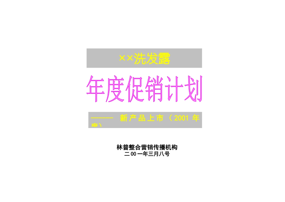 某洗发露年度促销计划_第1页