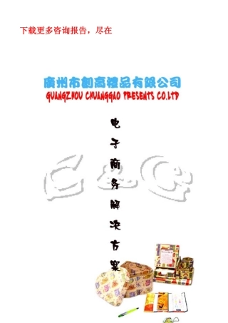 某著名咨询公司-创高-电子商务解决方案