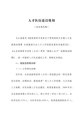 人才队伍建设规划