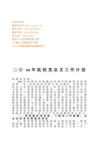 医院党总支工作计划方案