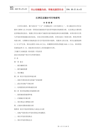 某湖乡可行性研究报告