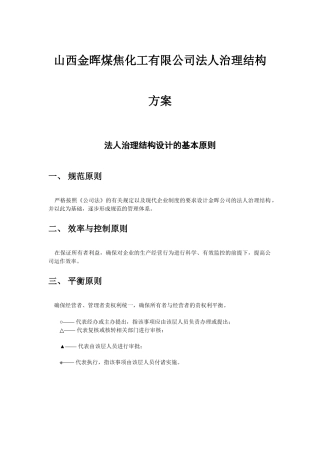 某着名咨询公司-金晖-治理结构咨询报告