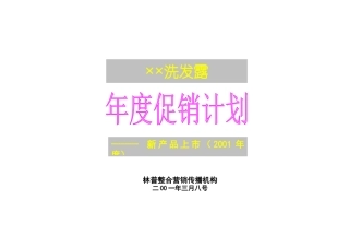某洗发露年度促销计划研讨
