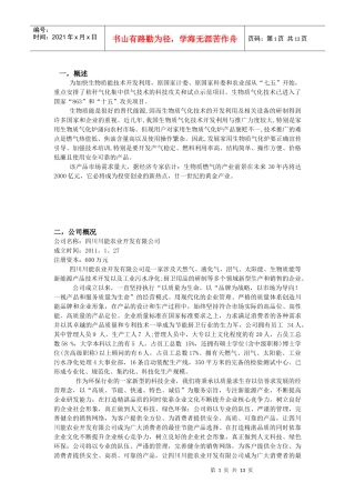 某能源气化有限公司商业计划书