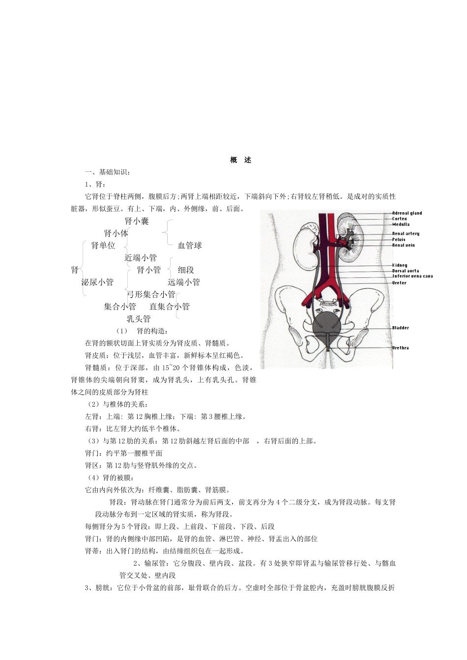 内科学泌尿系统疾病总结_第1页