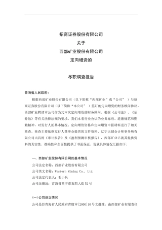 某矿业公司尽职调查报告书