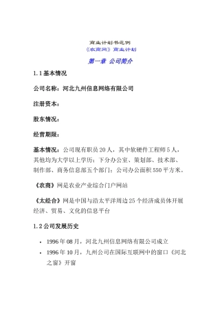 某着名咨询公司-河北九州-商业计划书