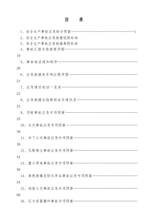 某矿业集团应急预案大全