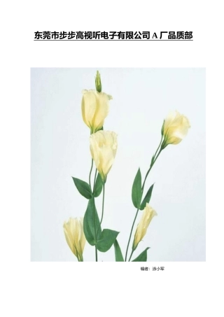 人力资源-IPQC工作手册