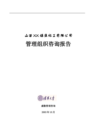 某煤焦化工有限公司管理组织咨询报告