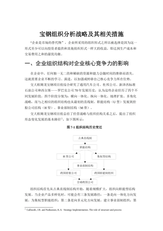 某著名咨询公司-宝钢-组织分析战略报告