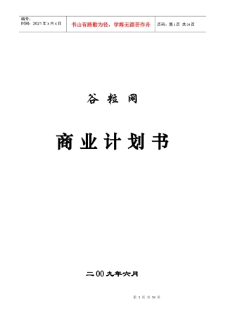 某网商业计划书