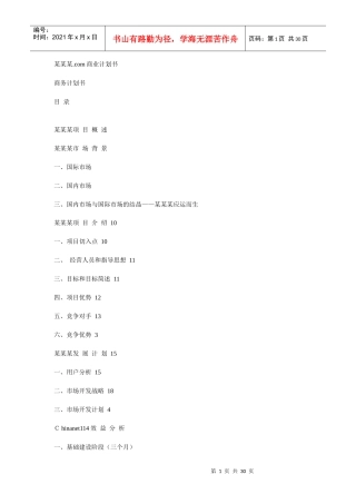 某网站商务计划书
