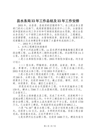 县水务局工作总结及工作安排