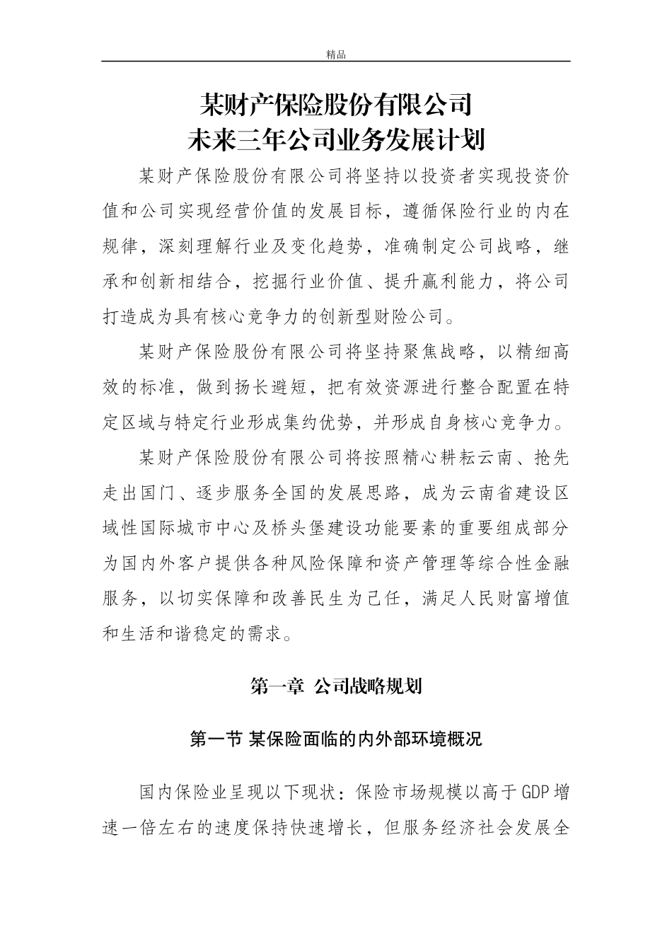 某财产保险股份有限公司未来三年发展计划(全)_第3页