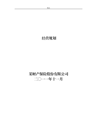 某财产保险股份有限公司未来三年发展计划(全)