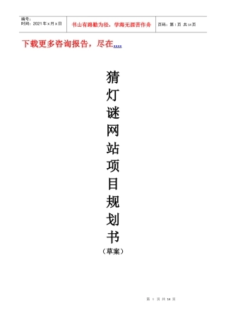 某著名咨询公司-猜灯谜-网站项目规划书