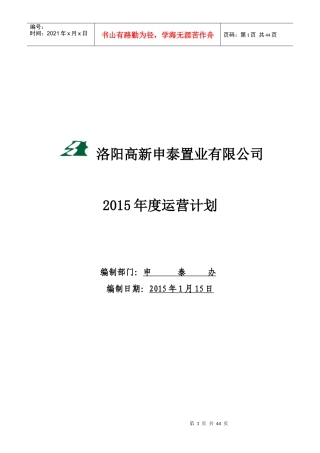 某置业有限公司年度运营计划