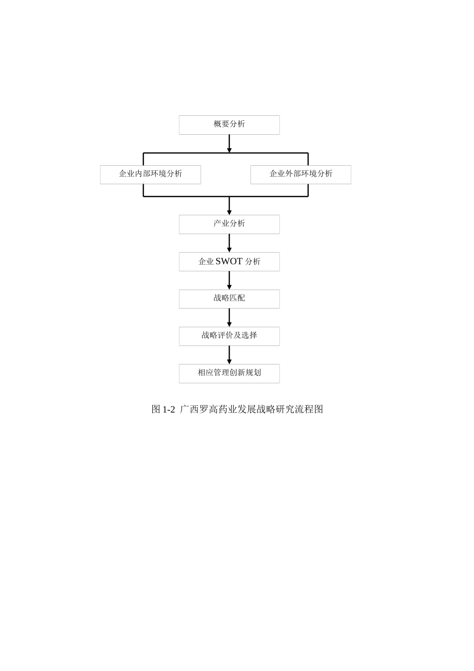某药业有限公司发展战略研究报告_第3页