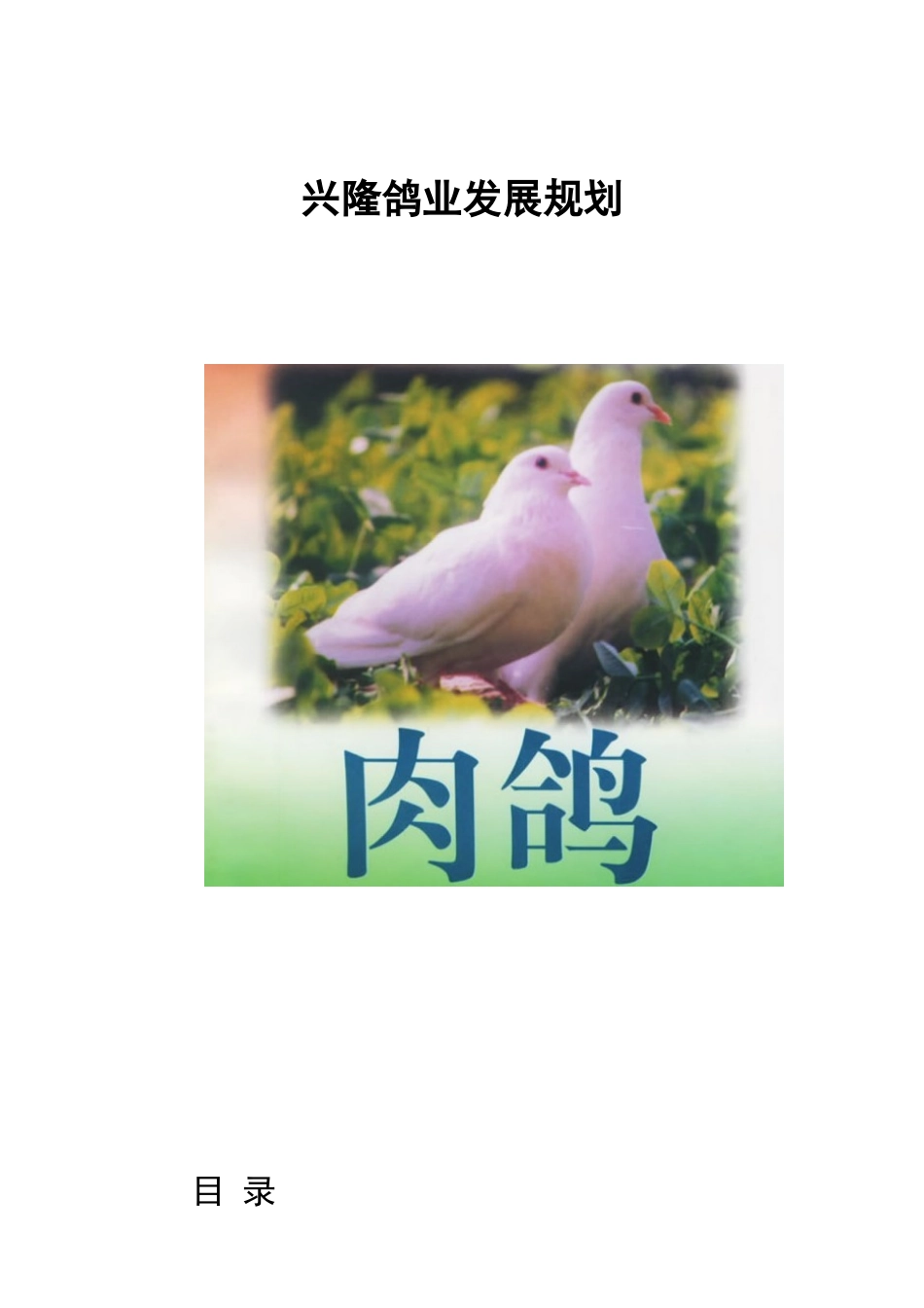 兴隆鸽业发展规划培训教材_第1页