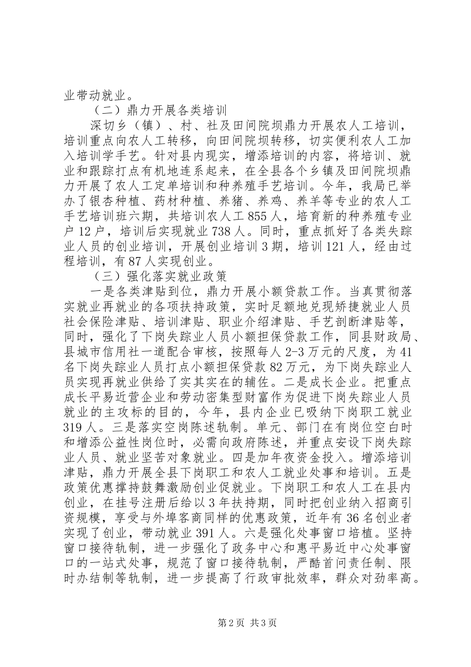 县就业局工作总结范文_第2页