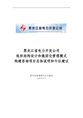 某电力公司组织设计和集团化管理模式咨询