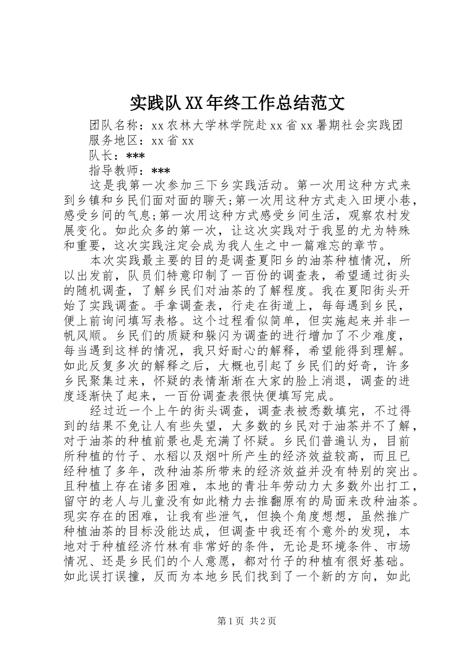 实践队终工作总结范文_第1页