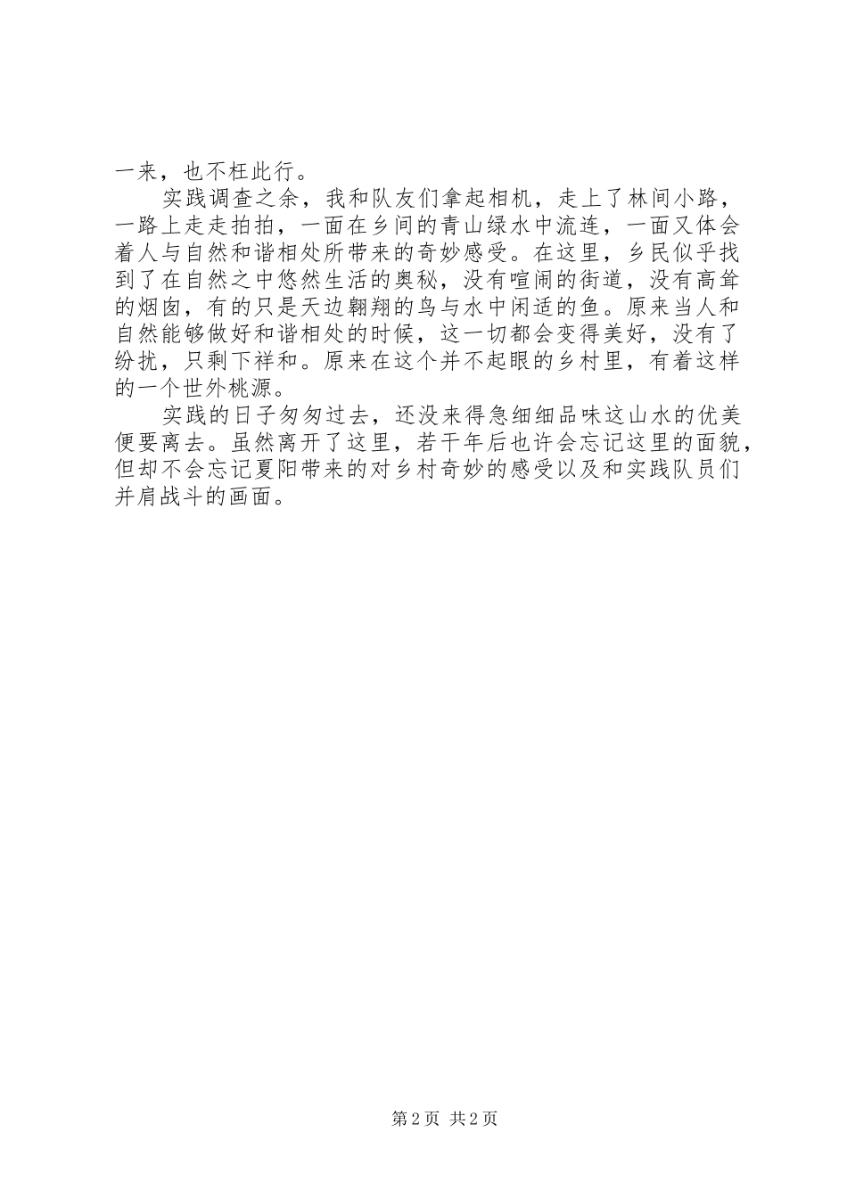 实践队终工作总结范文_第2页