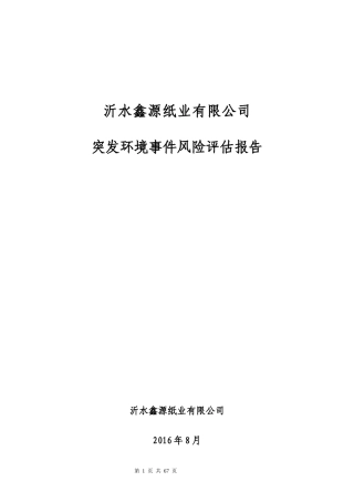 某纸业有限公司突发环境事件风险评估报告