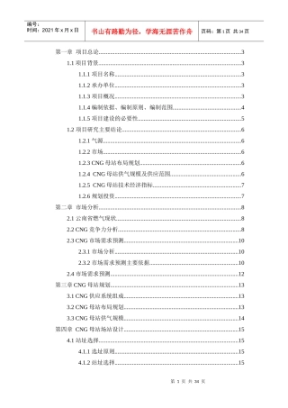 某省压缩天然气母站可行性研究报告