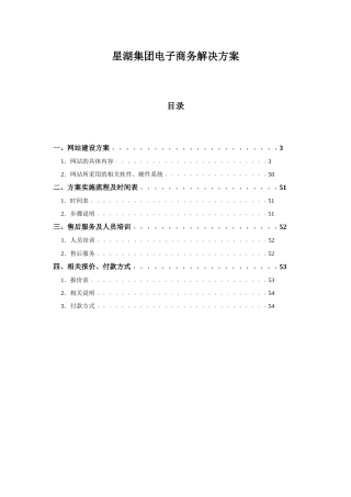 某着名咨询公司-星湖-集团电子商务解决方案