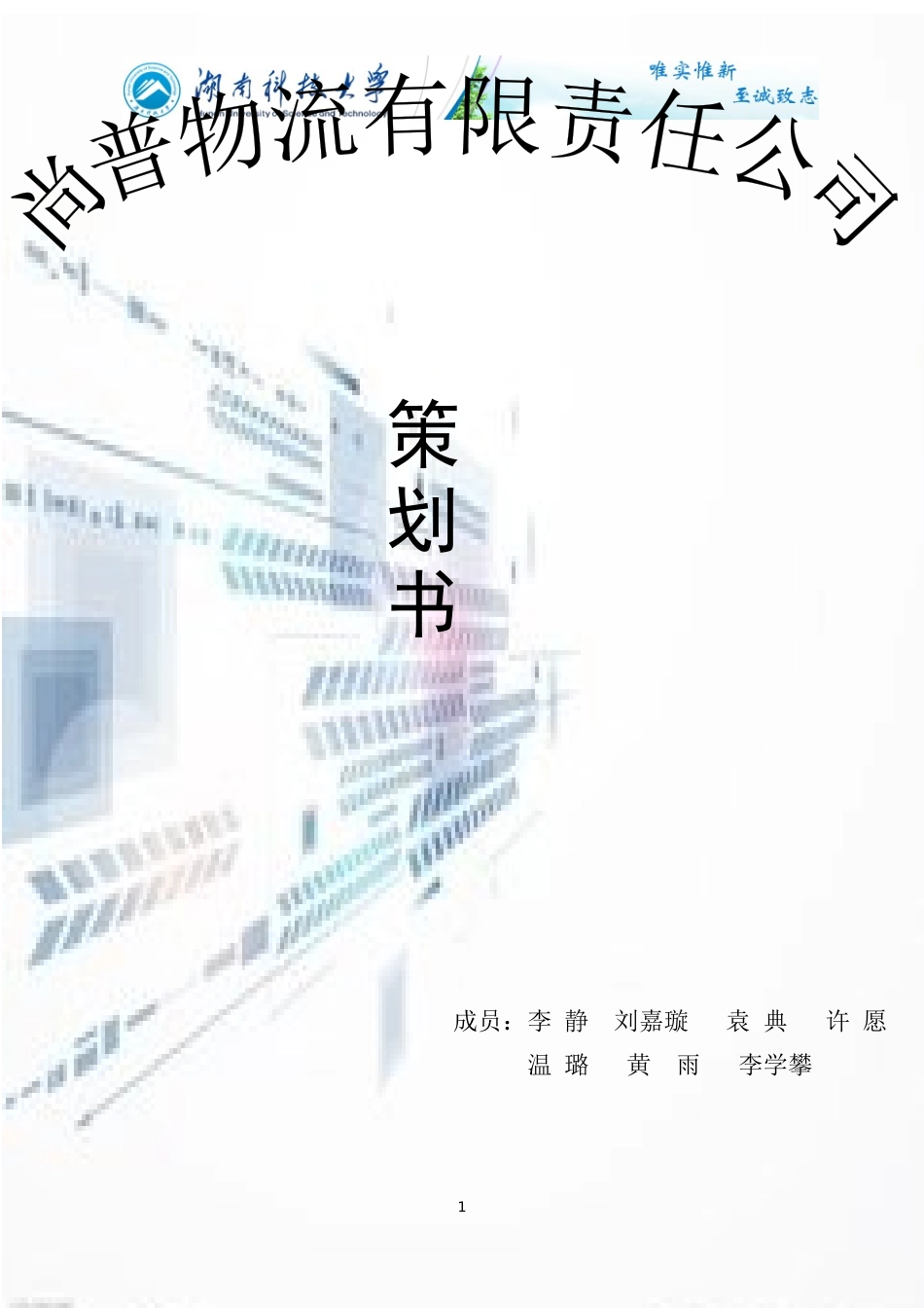 某物流有限责任公司策划书_第1页