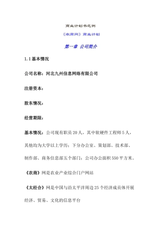 某知名公司商业计划书范例