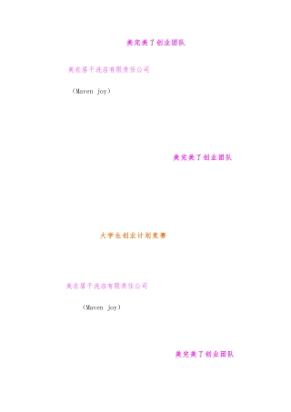 某洗衣店策划书