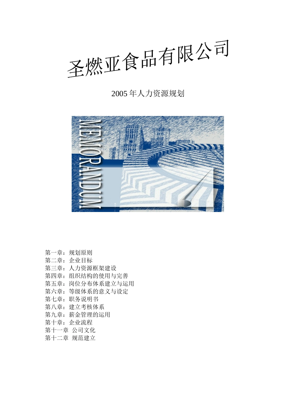 圣燃亚某某年人力资源规划_第1页