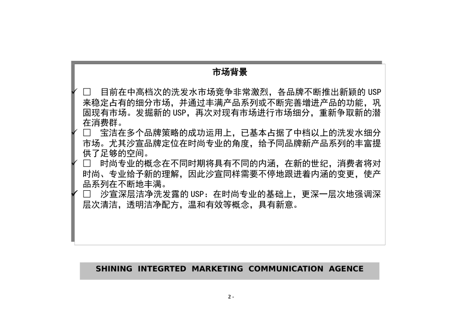 某知名洗发露产品年度促销计划_第2页