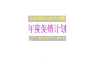 某知名洗发露产品年度促销计划