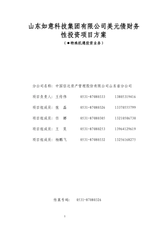 某科技集团有限公司美元债财务性投资项目方案