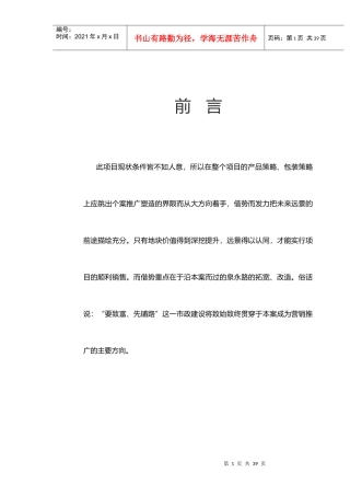 某特产品商业街推广计划书