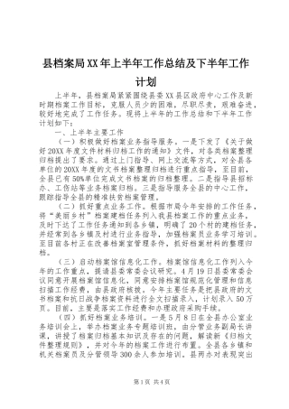 县档案局上半年工作总结及下半年工作计划