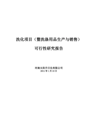 某洗化项目可行性研究报告