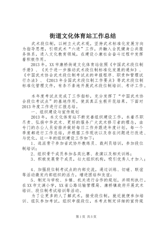 街道文化体育站工作总结