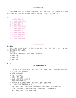 人力资源配置经典方案