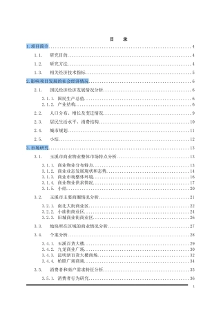 某购物广场项目研究与策划报告