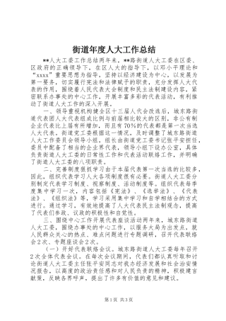 街道年度人大工作总结