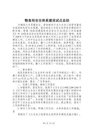 粮食局安全体系建设试点总结