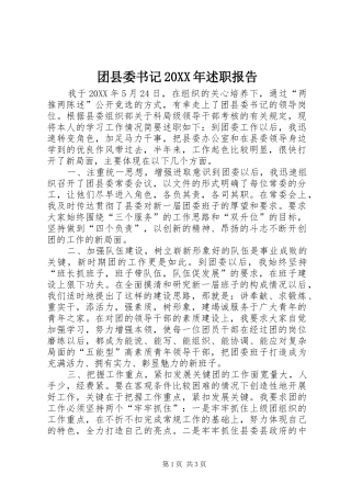 团县委书记述职报告