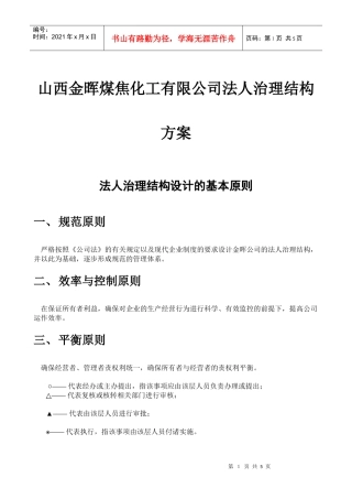 某著名咨询公司-金晖-治理结构咨询报告