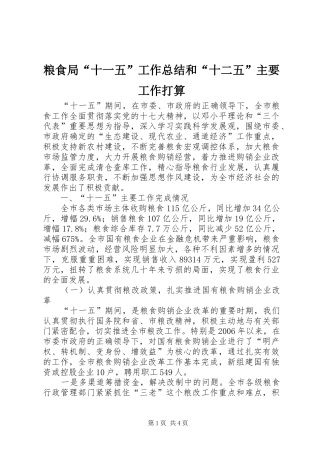 粮食局“十一五”工作总结和“十二五”主要工作打算